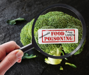 Food Poisoning Causes