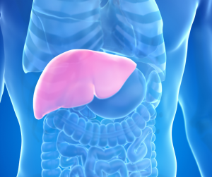 Prevention of Liver Disease