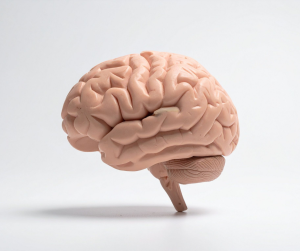 Brain health awareness month - You Drug Mart Brain health awareness month